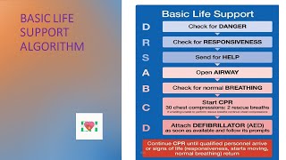 Basic Life Support BLS [upl. by Wit814]