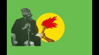 Papa Mobutu Zaireian Dictatorship Song [upl. by Yrffej374]