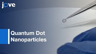 Correlative Light amp Electron Microscopy Using Quantum Dot Nanoparticles l Protocol Preview [upl. by Stanleigh574]