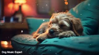 Healing Dog Music Deep Separation Anxiety Music to Calm Dogs Sleep Dog Music🐶 [upl. by Priscilla]