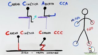 Cadena Cinética Abierta y Cerrada  Biomecánica [upl. by Ahtiuqal]