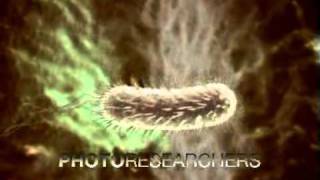 Helicobacter pylori  Photo Researchers [upl. by Aiclid]