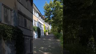 Switzerland basel switzerland city building folwers houses beautiful train history view [upl. by Randy]