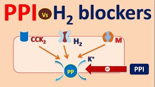 Proton pump inhibitors PPI vs H2 blockers [upl. by Matthaus]