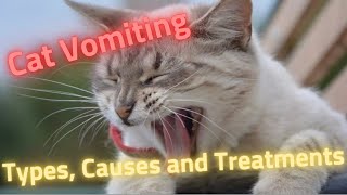 cat vomiting types causes and treatments [upl. by Eerdna488]