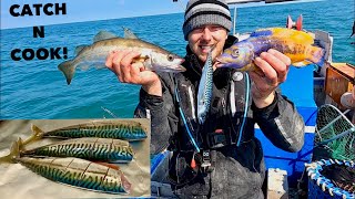 MACKEREL  Catch n Cook  Boat Fishing with my Dad [upl. by Avert189]