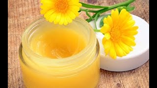 Calendula Part 2 How to make Healing Salves Lotions and lip balms [upl. by Eedyak]