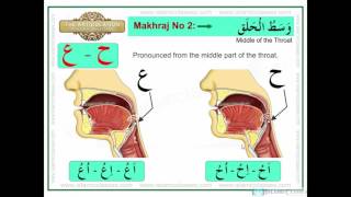 Makhraj No 217 Articulation Points of Arabic Alphabet Letters of the throat [upl. by Nailluj667]