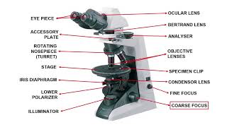 Polarizing Petrographic Microscope  Optical Mineralogy Part4  GeologyConceptscom [upl. by Krischer]