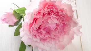 Anleitung einfache Pfingstrose aus Blütenpaste 5 Petal Technik  Gumpaste Peony Tutorial [upl. by Kort]