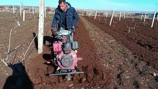 Çapa Makinası Kullanımı Çapa Makinesi ile Tarla Sürme üzüm Bağı bakımı [upl. by Oiruam529]