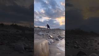 Run this Beach Surfcasting in Sicilia surfcasting fishing viralvideo surffishing sicilia [upl. by Alidia]