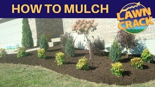 Mulch Like a Pro  How to Mulch Tutorial  How to Mulch and Edge  Landscaping Tips  LawnCrack [upl. by Luella606]