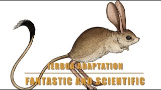 Jerboa Jerboas Jerboa Adaptation Adaptation In Jerboa Adaptation In AnimalsJerboa adaptation [upl. by Breech]