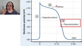 CVS 21  Action Potentials [upl. by Eerized]