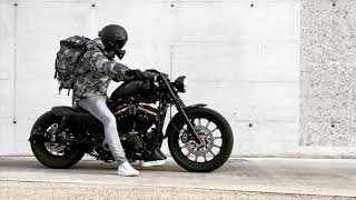 Sportster Iron 883 Brutal Sound [upl. by Celin]