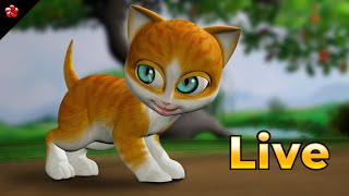 🔴 LIVE STREAM 🎬 Kathu Malayalam Cartoon Full Movie Live for Kids 😻 🐶 [upl. by Zeb]