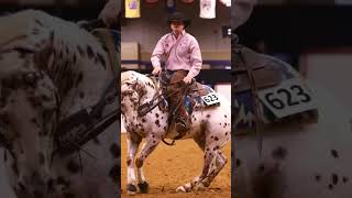 Appaloosa World Show [upl. by Oos]