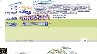 Class 11th Biology Cell the Unit of Life  NEET Biology  NCERT line by line explanation [upl. by Favien849]