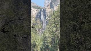 🇺🇸Bridalveil Fall Yosemite National Park california usa youtubeshorts shorts nature [upl. by Haridan]