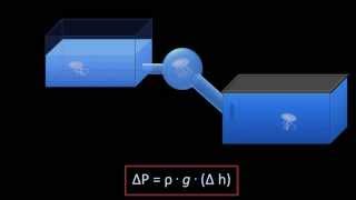 Hydrostatic Pressure Fluid Mechanics  Lesson 3 [upl. by Greenwood358]