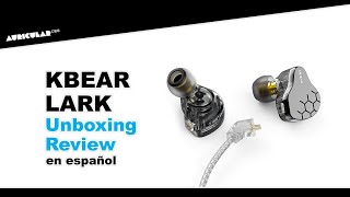 BGVP Scale 2DD iem Earphones  Graph  First Impressions [upl. by Ahsykal]