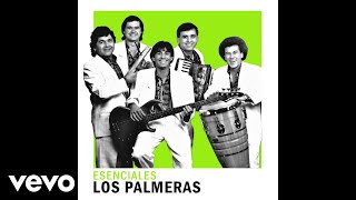 Los Palmeras  Muchacha Triste Official Audio [upl. by Dieter722]