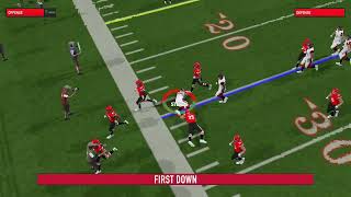 CFL 2024 Season Week 15 Ottawa RedBlacks  Calgary Stampeders [upl. by Kalfas]