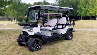 Fairway Finesse Exploring the World of Golf Carts [upl. by Aknaib]