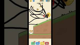 Bees pet puzzle game level 30 games [upl. by Alegnad212]