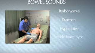 HAL® S3201  Part 9  Bowel sounds [upl. by Sairacaz]