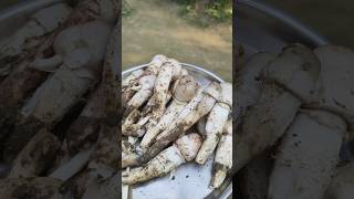 Mushroom 🍄 ঘরের ভিটেতে মাশরুম ফুটেছেshortvideo [upl. by Tolley718]