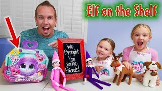 Elf on the Shelf Elf Pets and Scruff a Luvs Toy Rescue [upl. by Ymac235]