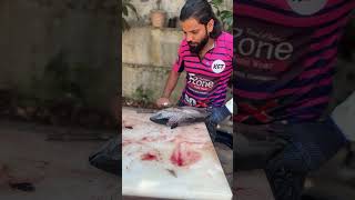 നിങ്ങളുടെ അഭിപ്രായം പറയൂ fish cutting  tuna  tuna fish  tuna fish cutting  Rak vlogs shorts [upl. by Cristin]