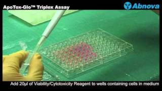 ApoToxGlo™ Triplex Assay [upl. by Reiter]