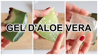 COMMENT EXTRAIRE du GEL dALOE VERA [upl. by Gregg]