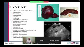 Zomedica sponsored webinar l Hemoperitoneum l Spleen l VetGuardian l July 17 2024 [upl. by Thielen]