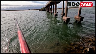 PESCA DE ORILLA EN LA LAGUNA MIRA LO QUE ENCONTRE [upl. by Mosa]