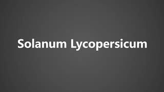 How To Pronounce Solanum Lycopersicum [upl. by Onig]