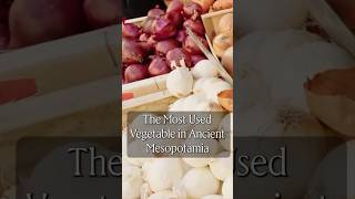 The Most Used Vegetable in Ancient Mesopotamia [upl. by Llerol649]