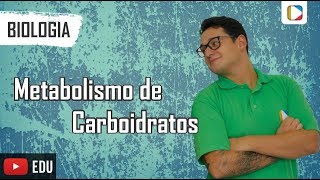 Biologia  Metabolismo de Carboidratos [upl. by Adnaloy]