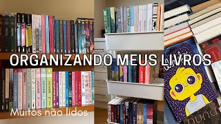 ORGANIZANDO MINHA ESTANTE DE LIVROS [upl. by Neelia775]