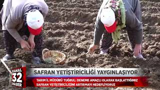 SAFRAN YETİŞTİRİCİLİĞİ YAYGINLAŞIYOR [upl. by Celestyn401]