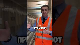 Безбилетник прыгнул на пути За секунду до PROMETRO shorts машинистметро владимирконнов [upl. by Obrien]