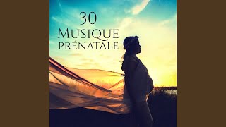 Grossesse méditation musique [upl. by Llertal152]