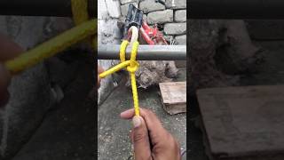 Rope Knot Skills shorts youtubeshorts knots tieknot [upl. by Kennie]