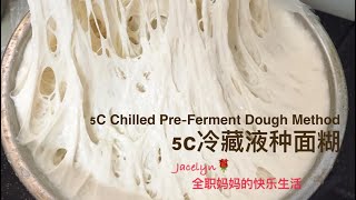 波兰种 液种 详细做法解释 Chilled PreFerment Dough Method [upl. by Sadie880]