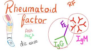 Rheumatoid Factor RF  Rheumatoid Arthritis RA  Joint disease Rheumatology series [upl. by Ayekal]