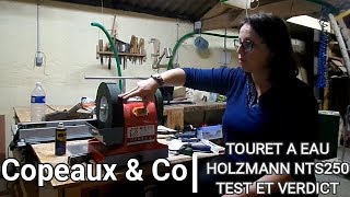 CopeauxampCo  Avis sur Affûteuse à eau  touret Holzmann NTS250 [upl. by Nyleimaj]