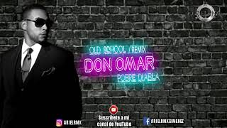 Pobre Diabla REMIX Don Omar Ft Ariel Rmx [upl. by Clie]